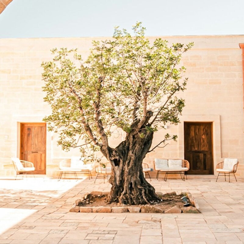 Sicily
