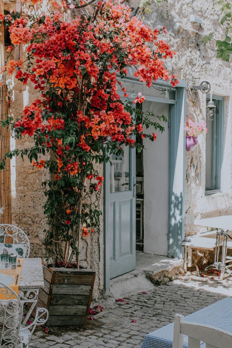 Small Group Tours of Sicily